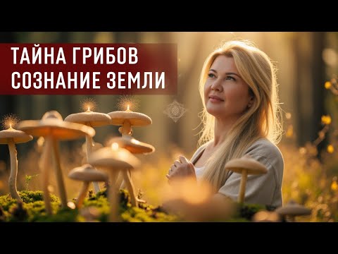 Видео: Почему грибы - больше, чем еда: тайны их влияния на тело и сознание. Активации нейронных сетей.