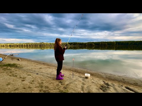 Видео: Рыбалка в Сузуне на Оби. Первый сазан