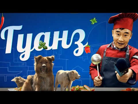 Видео: Гуанз Нохой, муурны асрамжийн газар