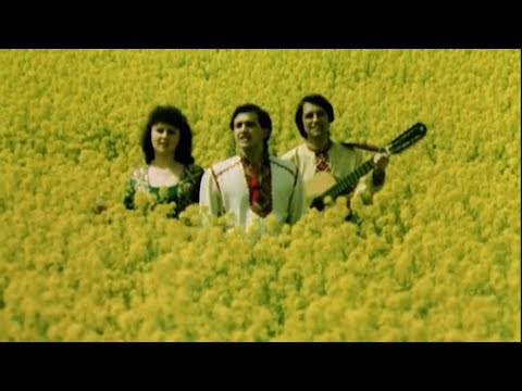 Видео: Назарій Яремчук - "Гай, зелений гай" (1985) Краща якість (16:9)