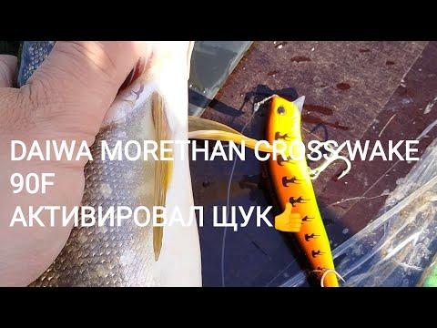 Видео: Воблер Daiwa Morethan Cross Wake 90SSR-F и Strike Pro Aquamax Shad 50 активировали клев щуки!