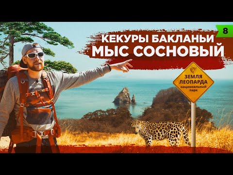 Видео: ПО КУРСУ |  МЫС СОСНОВЫЙ | Кекуры Бакланьи | мыс Льва | Земля Леопарда | Приморский край
