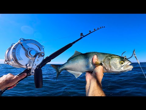 Видео: Круглосуточная рыбалка на гигантскую рыбу с БОЛЬШОЙ НАЖИВКОЙ! Ловля гигантского тунца!