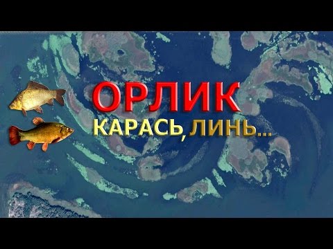 Видео: ОРЛИК - мои РЫБОЛОВНЫЕ МЕСТА ( Лето ) КАРАСЬ,ЛИНЬ...