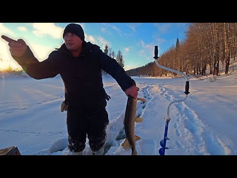 Видео: Это была весёлая рыбалка! Щука на жерлицы!