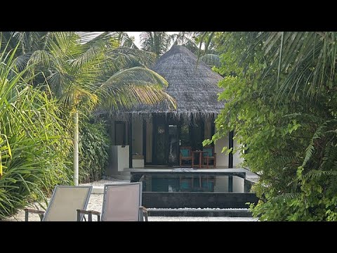 Видео: 🏡Обзор на отель Sun siyam iru fushi, Beach villa this pool. 🏖️#funny