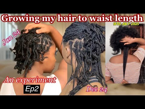 Видео: Как я отращиваю волосы до талии в 2025 году!!! День мытья и подготовка, мини-косички для роста во...