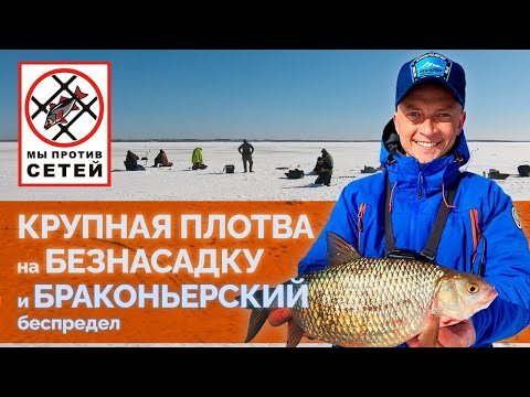 Видео: КРУПНАЯ ПЛОТВА на БЕЗНАСАДКУ и БРАКОНЬЕРСКИЙ беспредел