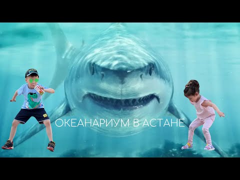 Видео: ОКЕАНАРИУМ В АСТАНЕ. Незабываемые впечатления.