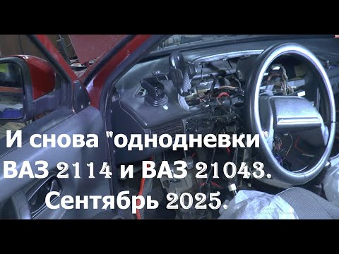 Видео: И снова "однодневки". ВАЗ 2114 и ВАЗ 21043. Сентябрь 2025.