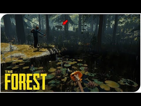 Видео: Жабайы орманда өмір сүреміз #2