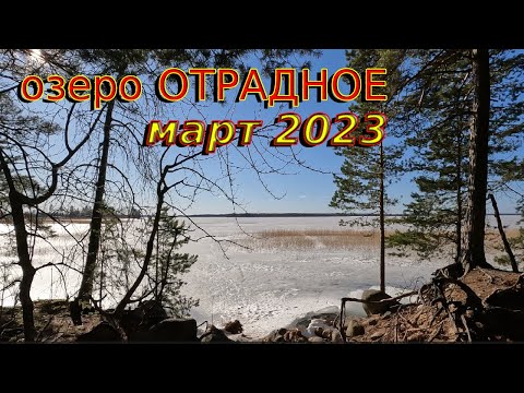 Видео: Оз. Отрадное. Рыбалка. Закрытие зимнего сезона 2023.