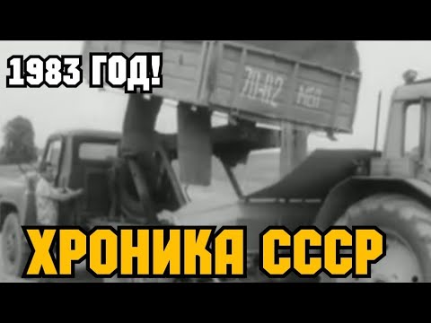 Видео: ХРОНИКА СССР! 1984 ГОД  МАШИНЫ ДЛЯ ПОСАДКИ КАРТОФЕЛЯ!