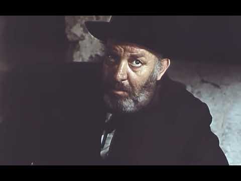Видео: Съдията: 1884 - юлий, август (1986)