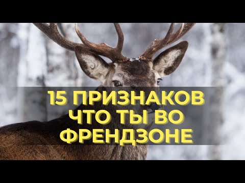 Видео: 15 признаков того, что ты попал во френдзону