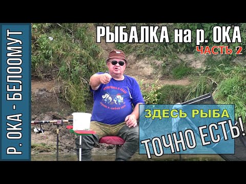 Видео: Рыбалка на Оке в Белоомуте, 2 часть, Фидер, Лещ, несколько дней "Бабьего лета", сентябрь 2018г