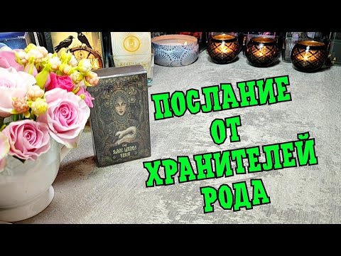 Видео: 🌳🔥⚖️ ПОСЛАНИЕ ОТ ХРАНИТЕЛЕЙ РОДА ❤️👍