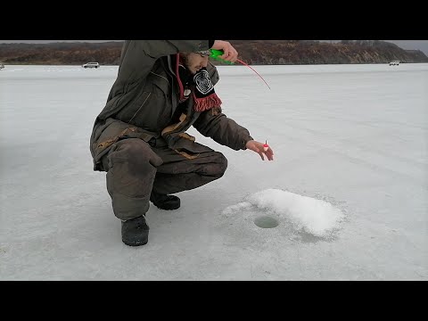 Видео: Закрытие сезона ТВЕРДОЙ воды. Рыбалка на камбалу. Зимняя рыбалка в НЕПОГОДУ. Рыбалка в Тавричанке.