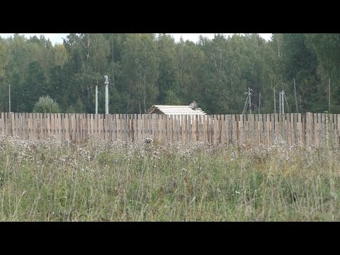 Видео: НА УЧАСТКЕ # 50 9 СОТОК ВИДЕО ОТ АЛЕКСАНДРА ИГРОФФ