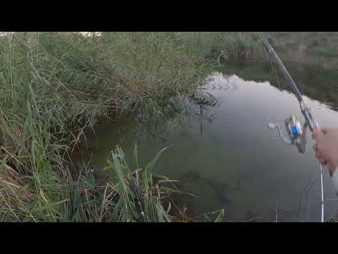 Видео: первая рыбалка с детьми в близ уштобе ,рыбалка на поплавок