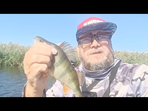 Видео: Осенний жор хищника ты ГДЕ ???.Хорошая погода не значит хороший клёв.