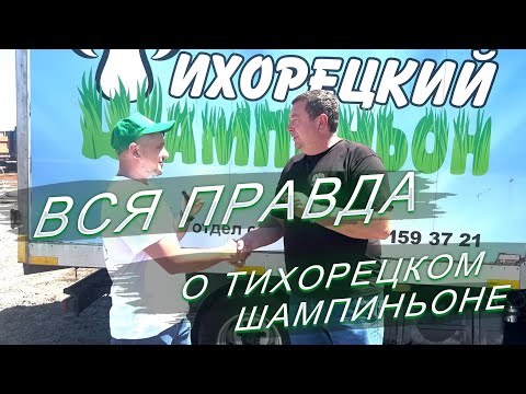 Видео: ВСЯ ПРАВДА ПРО ТИХОРЕЦКИЙ ШАМПИНЬОН. ГРИБНОЙ БИЗНЕС 2024