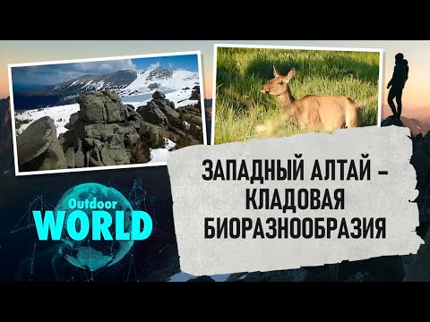 Видео: Западный Алтай – кладовая биоразнообразия. «Наедине с природой»