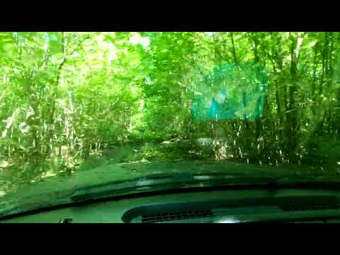 Видео: 1 день, 2 часть поворот не туда