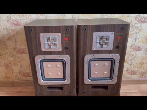 Видео: Акустика SONY APM-22ES II Тех обзор II Профилактика II UPGRADE II Часть 1 II InAudio