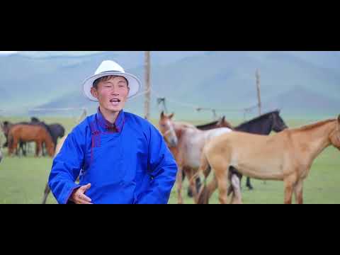 Видео: Бүжин бор - Гүнпүрэв