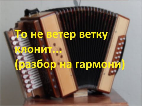 Видео: То не ветер ветку клонит...(разбор на гармони с цифрами)