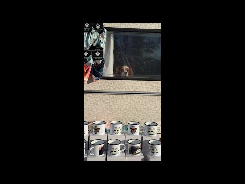 Видео: Къмпинг експо Пловдив