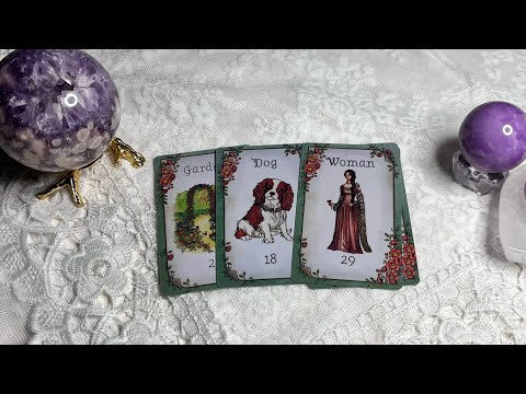 Видео: События  на пороге ☘️