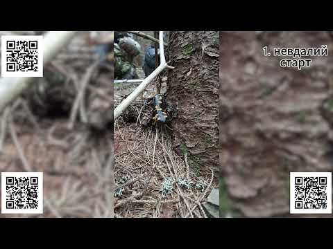 Видео: Полиция, горы и чудо спасения — настоящая история выживания