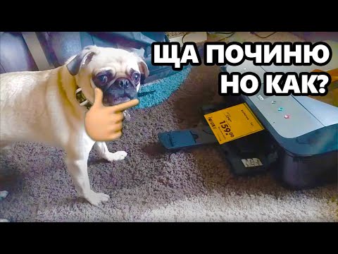 Видео: Как DAWG замутил с продавщицами и чинил принтер [истории #7]