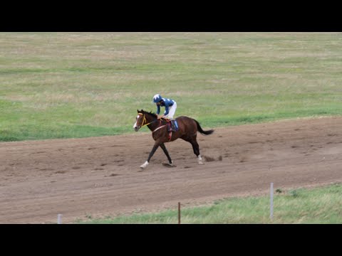 Видео: Скаковой день 12 июня. Дистанция 2400 м. Байсар Барс