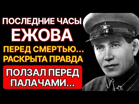 Видео: ПОСЛЕДНИЕ МИНУТЫ ЖИЗНИ ЕЖОВА: как пытками ломали и унижали главу НКВД перед его расстрелом