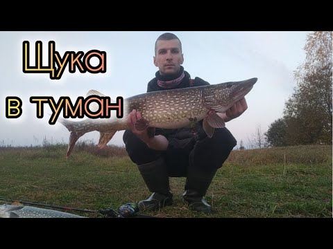 Видео: Ловля щуки в туман