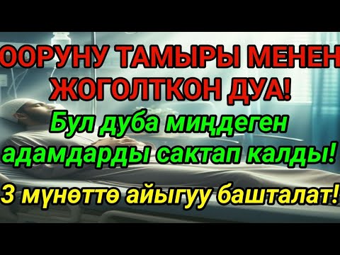 Видео: Пайгамбардын дубасы – оорунун тамырын кургатат! Дароо айыгуу келет! ❤️