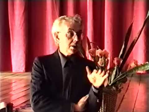 Видео: Аркадий Ровнер,   практикум 1998 год