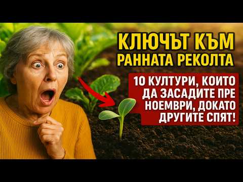 Видео: КЛЮЧЪТ КЪМ РАННАТА РЕКОЛТА: 10 култури, които да засадите през ноември, докато другите спят!