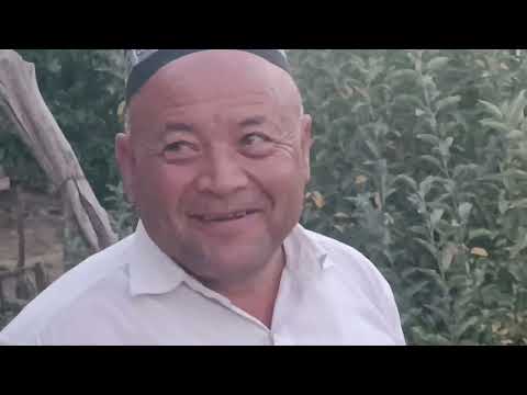 Видео: Бойқўчқор бохши тўйида бохшилар ижролари 4қисм 