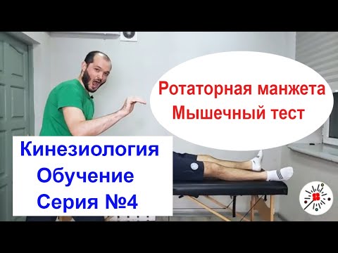 Видео: Манжета плеча. Мышечный тест. Прикладная кинезиология