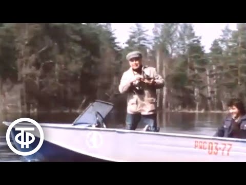 Видео: В мире животных. Весна в Мещере. Ведущий - Василий Песков (1983)