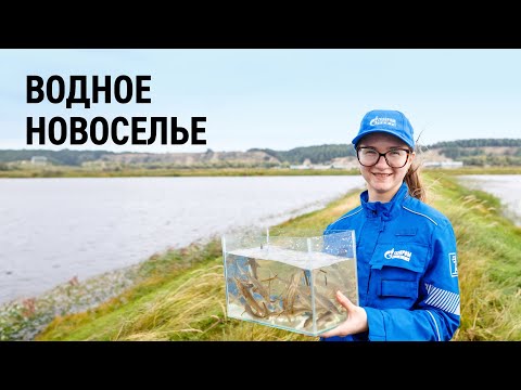 Видео: Водное новоселье