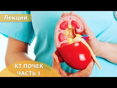 Видео: Часть 1. Компьютерная томография почек - методика сканирования и острый пиелонефрит. Андрей Мангов