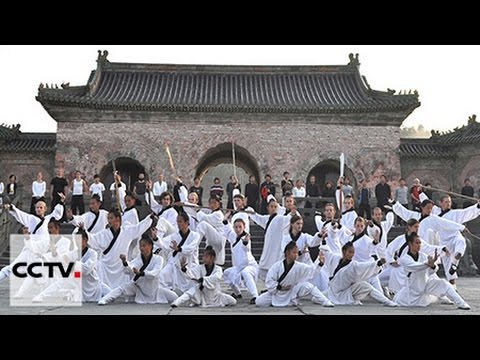 Видео: Китайские боевые искусста Среия 8  Удан-кунфу Часть 1