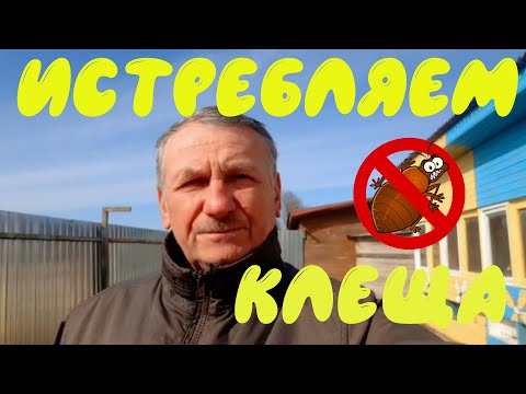 Видео: Полное уничтожение клеща варроа