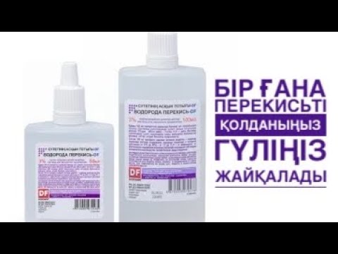 Видео: Гүліңіз тез жайқалып,бейімделсін десеңіз.ДРАЦЕНА МИНИ гүлін отырғызу