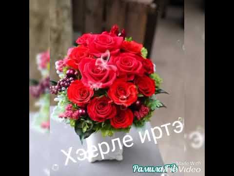 Видео: Туган булгач шундый булсын